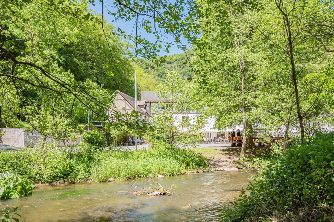 Landhotel Ringelsteiner Muehle Moselkern Zewnętrze zdjęcie
