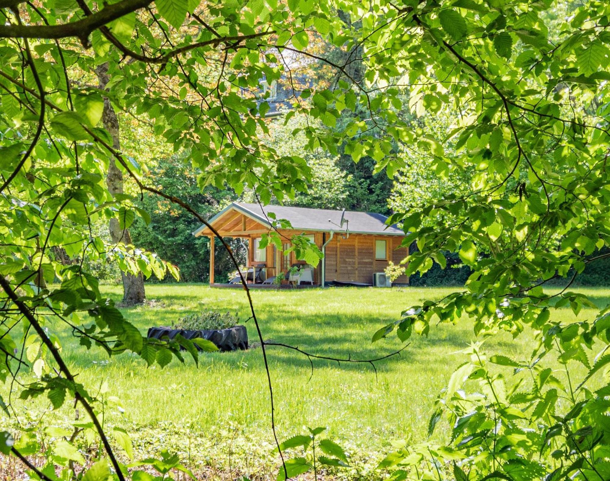 Landhotel Ringelsteiner Muehle Moselkern Zewnętrze zdjęcie