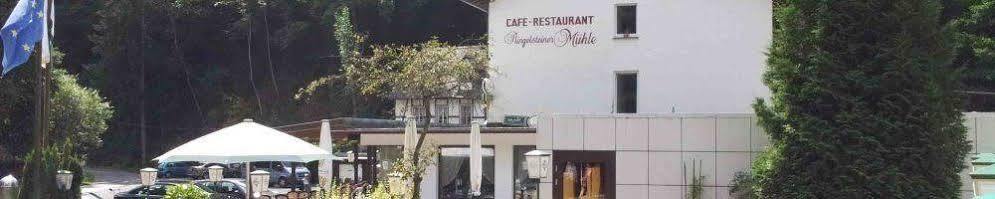Landhotel Ringelsteiner Muehle Moselkern Zewnętrze zdjęcie